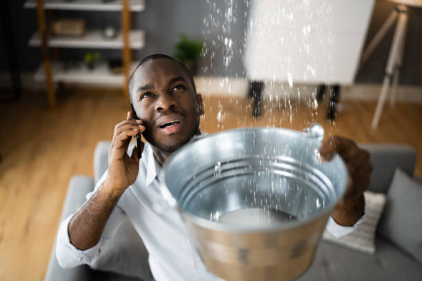 Best Residential water damage restoration  in Bensley, VA