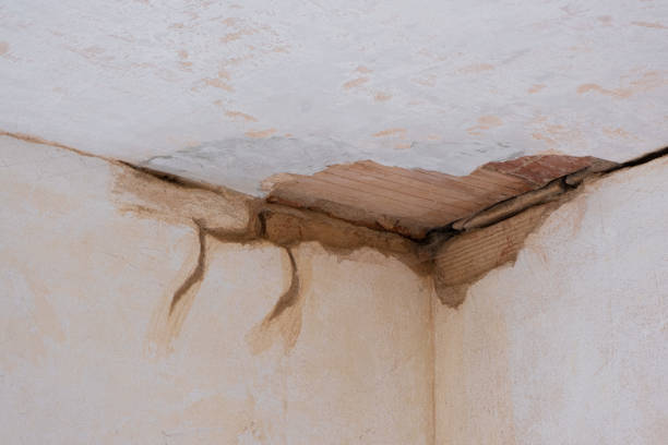 Best Water damage restoration specialists  in Bensley, VA