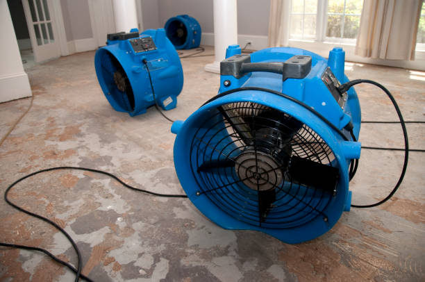 Best 24/7 water damage repair  in Bensley, VA