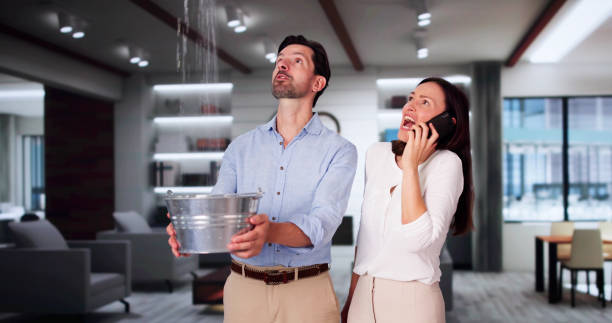Best Commercial water damage restoration  in Bensley, VA